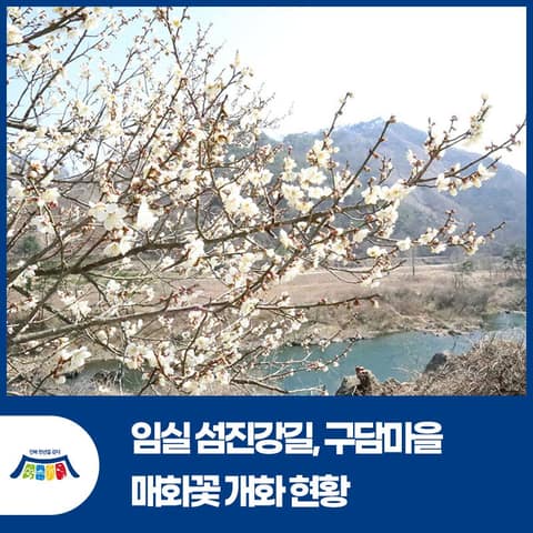 전북천리길섬진강길 사진 8