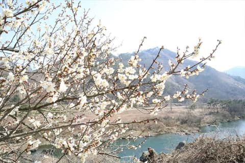 전북천리길섬진강길 사진 10