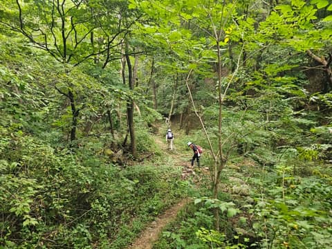 치악산둘레길3코스(수레너미길) 사진 6