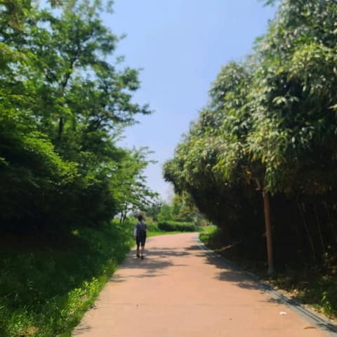 영종둘레길3코스(힐링바닷길) 사진 3