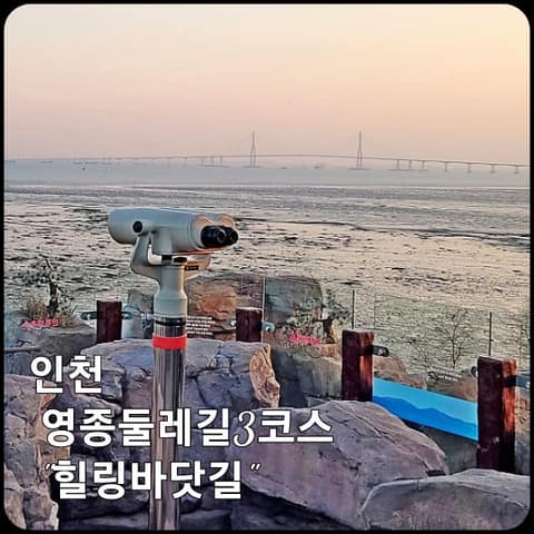 영종둘레길3코스(힐링바닷길) 사진 9