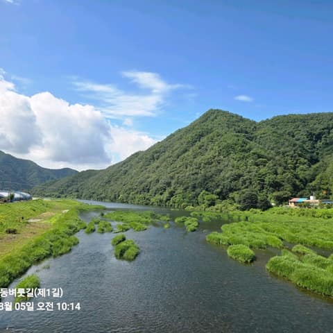 전북천리길용담댐감동벼룻길 사진 2