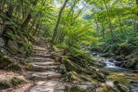 의정부소풍길(산림욕길) 사진 2
