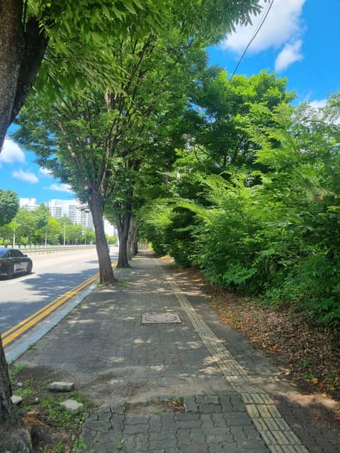 의정부소풍길(산림욕길) 사진 7