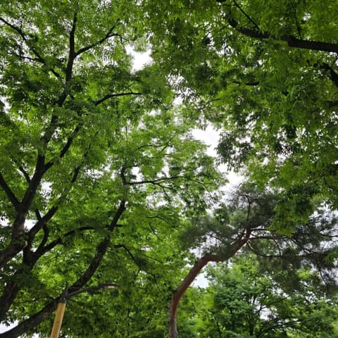 서울한양도성길 사진 6