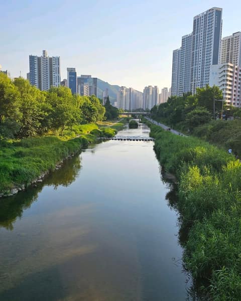 학의천산책길 사진 1