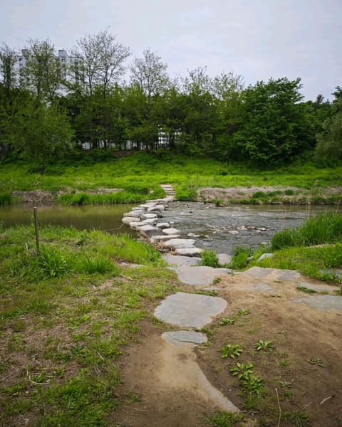 학의천산책길 사진 2