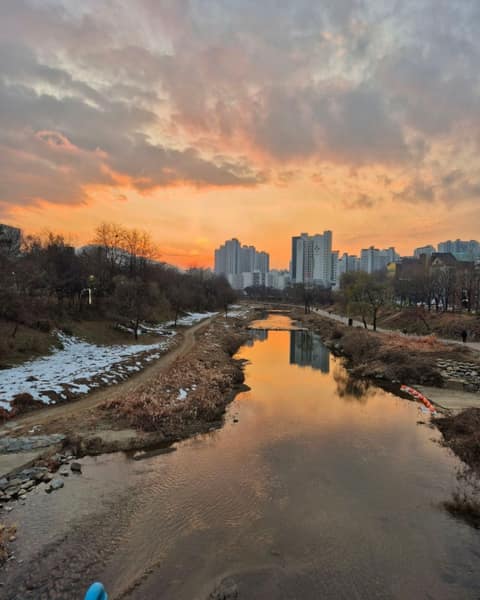 학의천산책길 사진 4