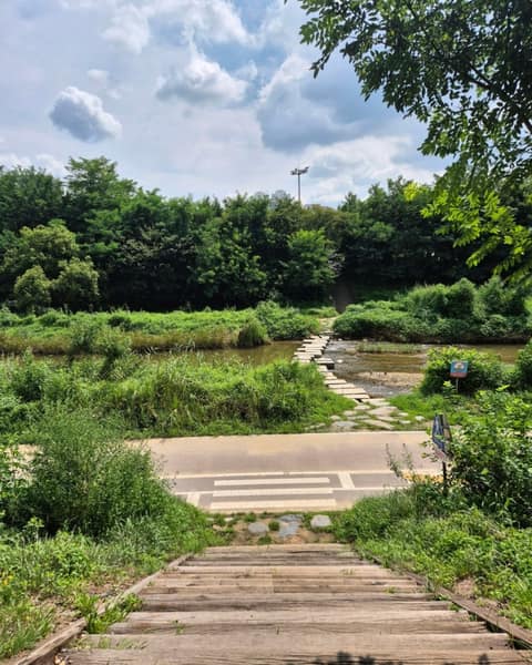 학의천산책길 사진 5