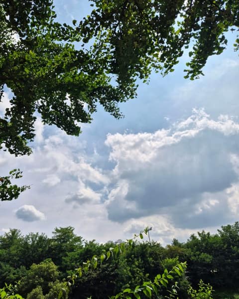학의천산책길 사진 7