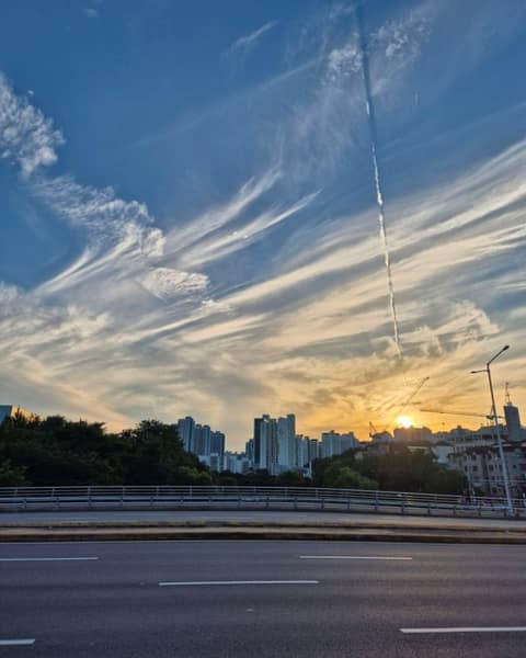 학의천산책길 사진 10