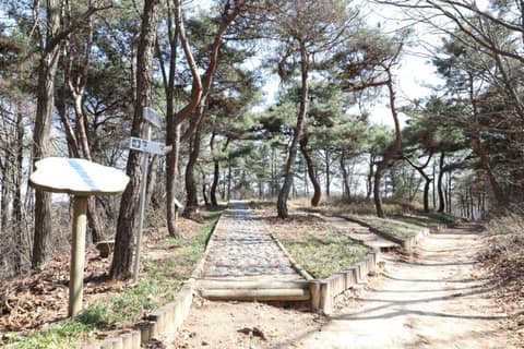 여강길5코스(황학산길) 사진 2