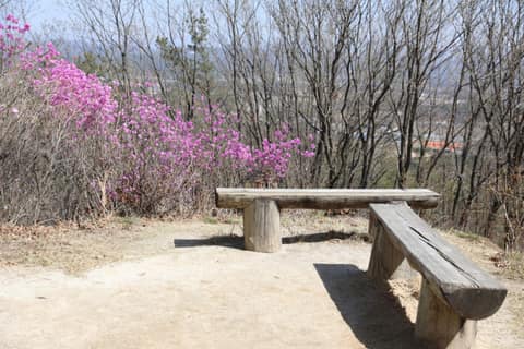여강길5코스(황학산길) 사진 4