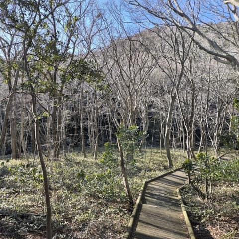한라산둘레길3구간(산림휴양길) 사진 4