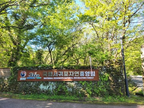 한라산둘레길3구간(산림휴양길) 사진 9