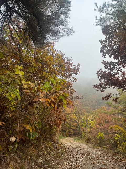 소백산자락길1코스 사진 3