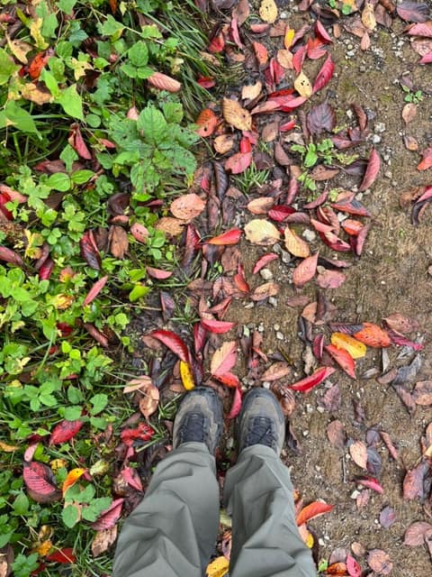 소백산자락길1코스 사진 5