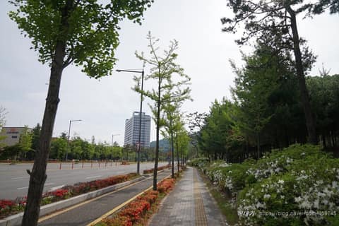 원주기업도시둘레길 사진 1