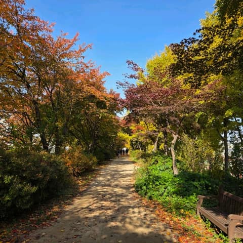 서울둘레길 사진 26