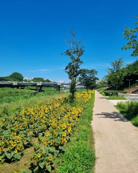 서울둘레길13코스(안양천상류) 사진 7