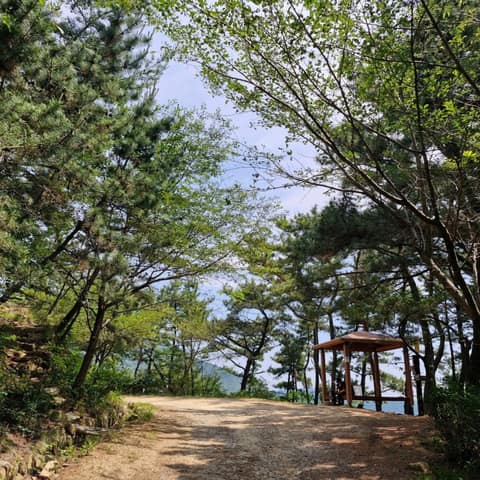 부산갈맷길6코스3구간 사진 5