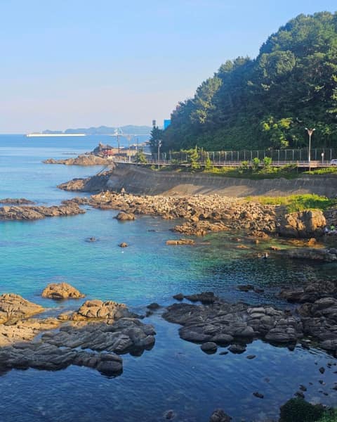 샛바람길제1코스 사진 1