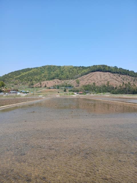 남파랑길64코스 사진 3