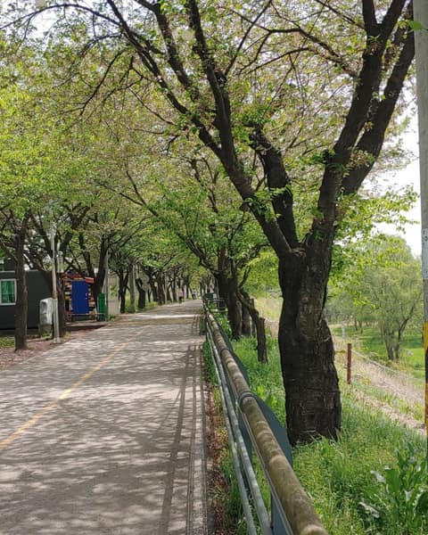 경기옛길평해길6길(거무내길) 사진 1