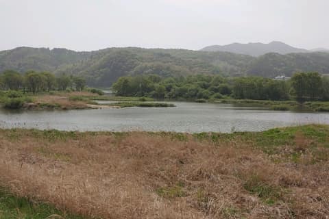 경기옛길평해길6길(거무내길) 사진 2