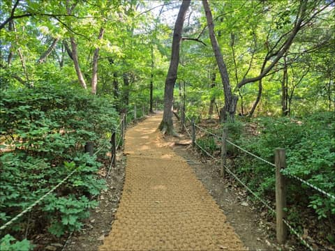 강서둘레길2코스(공원길) 사진 2