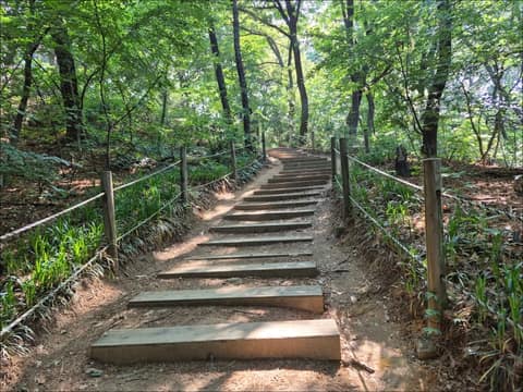 강서둘레길2코스(공원길) 사진 5