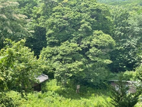 DMZ펀치볼둘레길2코스(오유밭길) 사진 10