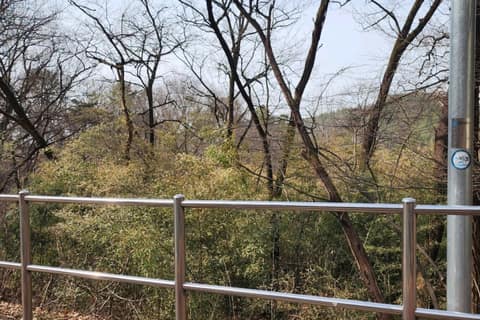 대전둘레산길12구간 사진 9