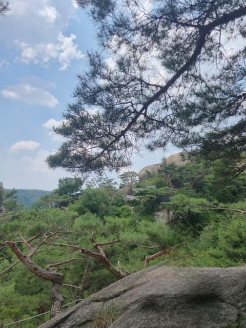 서울한양도성길 사진 10