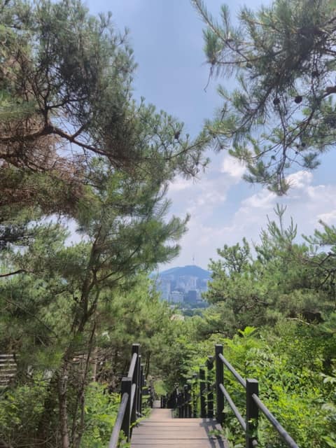 서울한양도성길5코스(숭례문구간) 사진 3