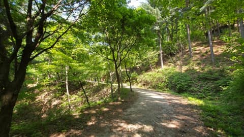 원주굽이길3코스(회촌달맞이길) 사진 1