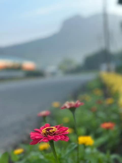 서해랑길11코스 사진 9