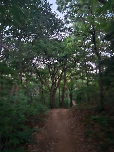 인천둘레길2코스(천마산) 사진 1