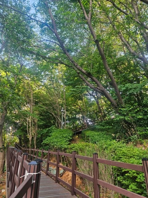 인천둘레길2코스(천마산) 사진 3