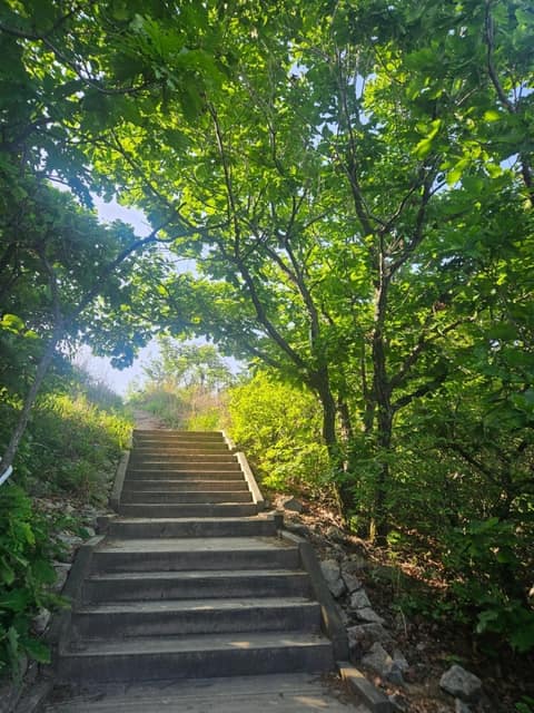 인천둘레길2코스(천마산) 사진 4