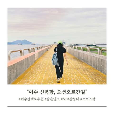 오션오르간길 사진 4