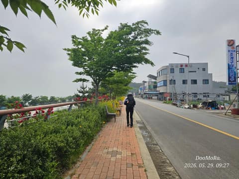 새만금광역탐방로 사진 5