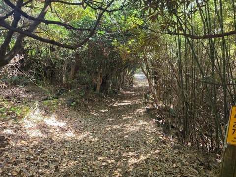 제주올레길 사진 14