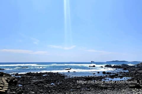 제주올레길9코스 사진 5