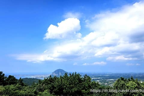 제주올레길9코스 사진 7