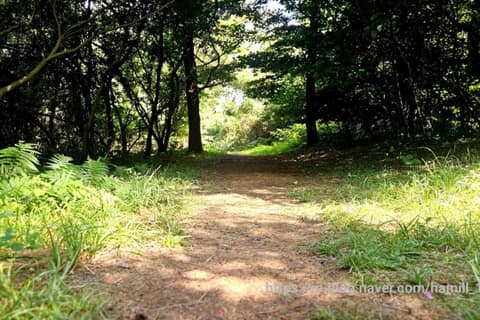 제주올레길9코스 사진 9