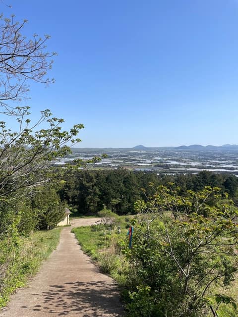 제주올레길11코스 사진 9