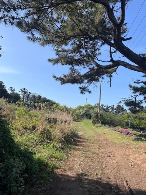 제주올레길11코스 사진 10