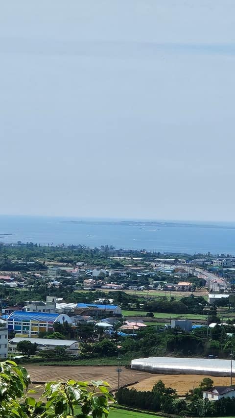 제주올레길12코스 사진 4