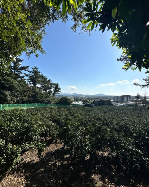 제주올레길 사진 34